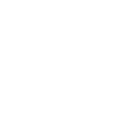 Asset Society